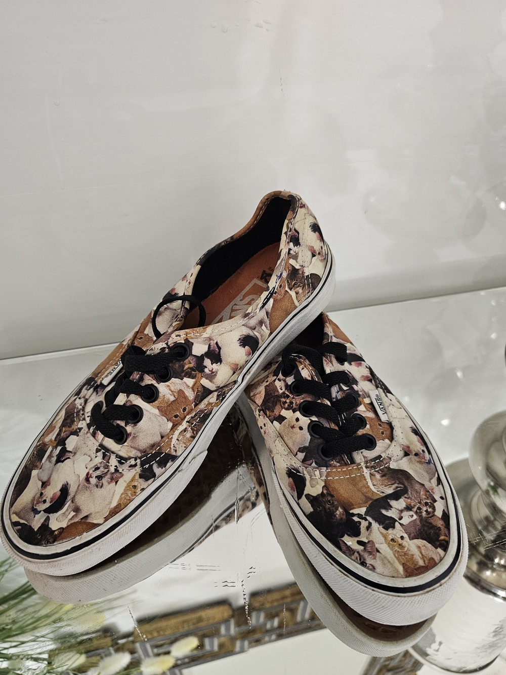 Vans Animal Print Canvas Sneakers - Multi Color